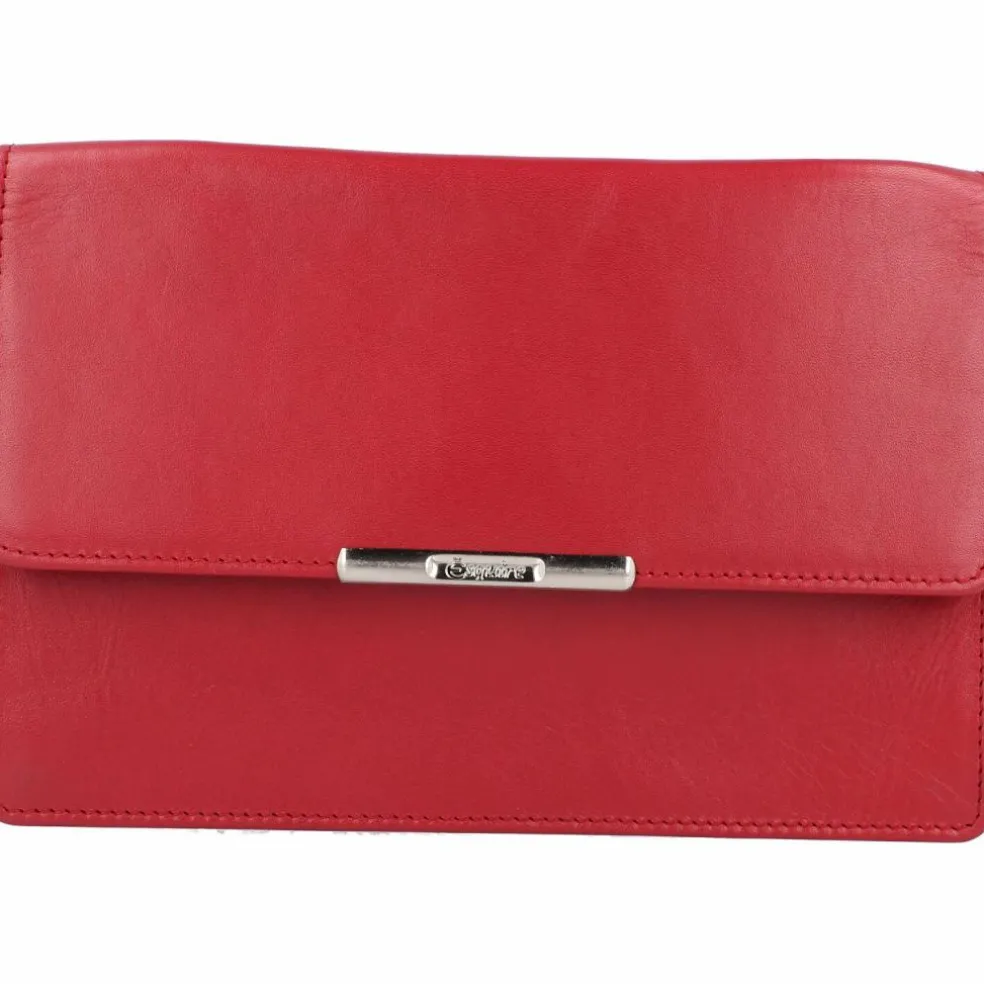 Esquire Helena Clutch Geldbörse RFID Leder 17,5 cm